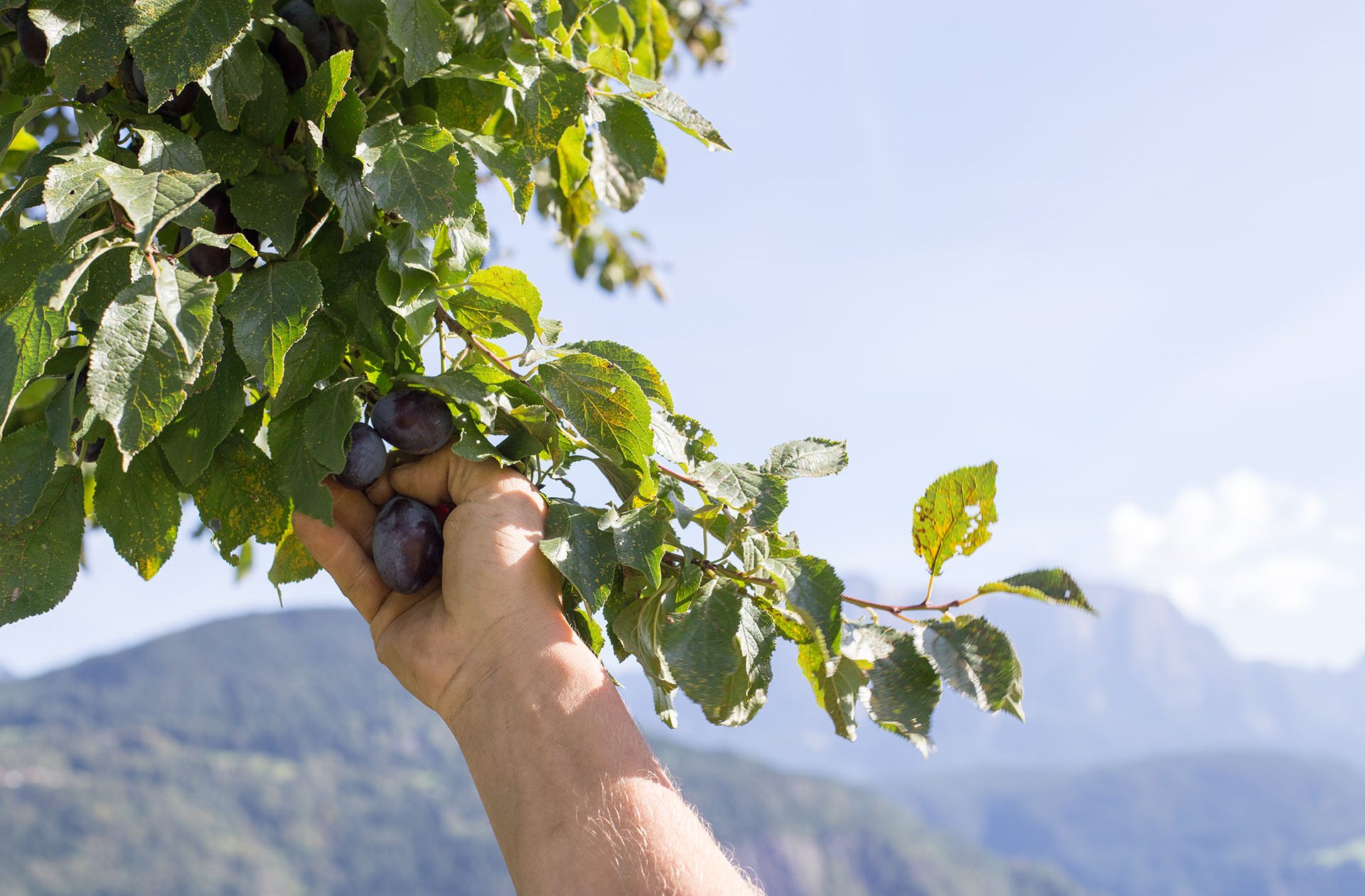 Prodotti di nostra produzione